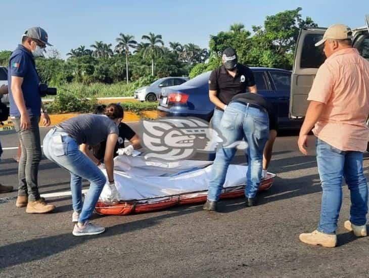 Muere hombre atropellado en la carretera Veracruz- Xalapa