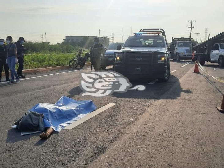 Muere hombre atropellado en la carretera Veracruz- Xalapa