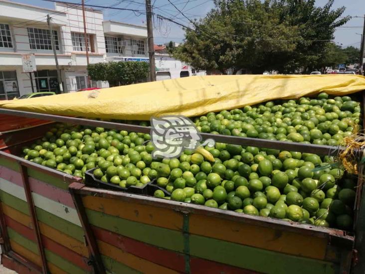 Limón Persa se oferta a 4 kilos por 20 pesos en Coatzacoalcos