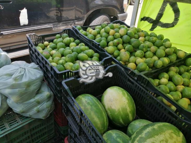 Limón Persa se oferta a 4 kilos por 20 pesos en Coatzacoalcos