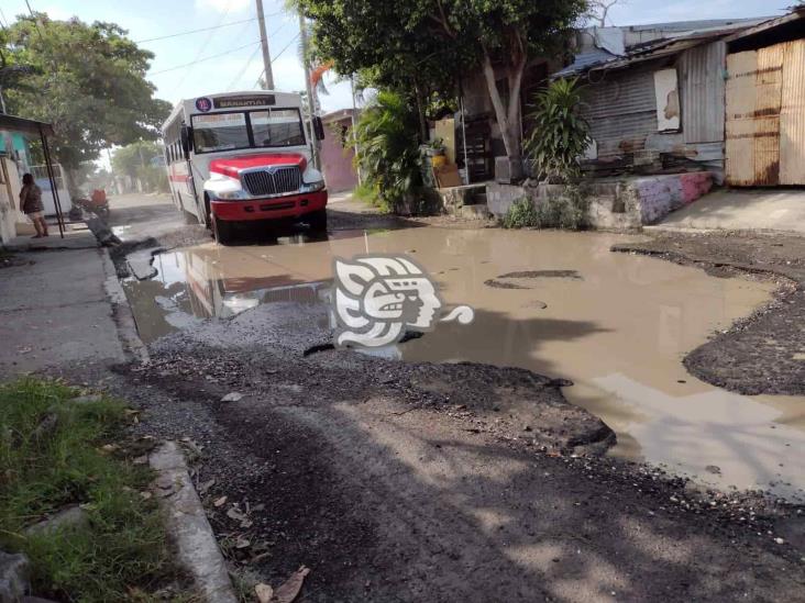 Vecinos se quejan de enorme bache y aguas negras en colonia Carranza