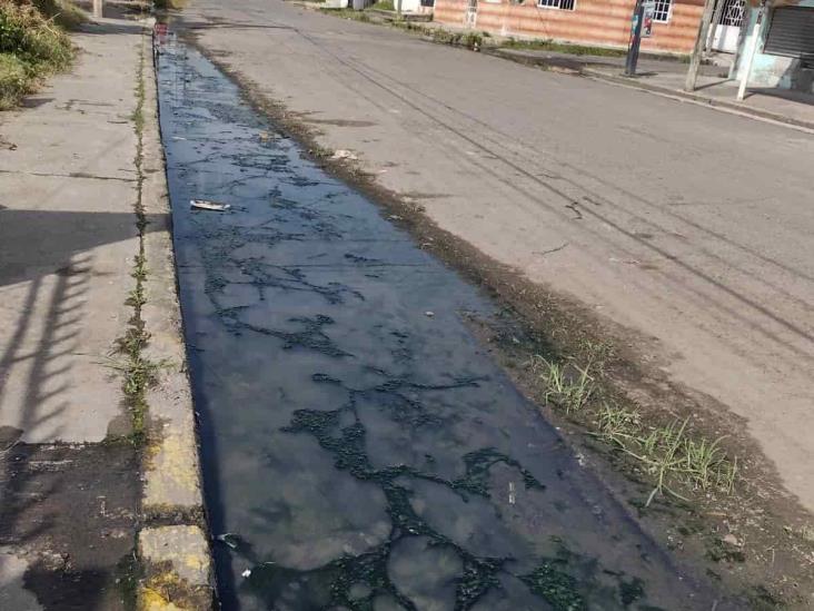 Vecinos se quejan de enorme bache y aguas negras en colonia Carranza