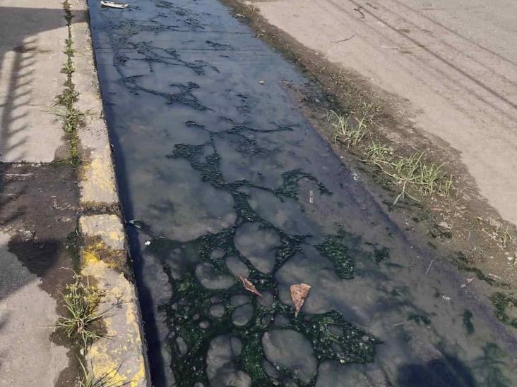 Vecinos se quejan de enorme bache y aguas negras en colonia Carranza