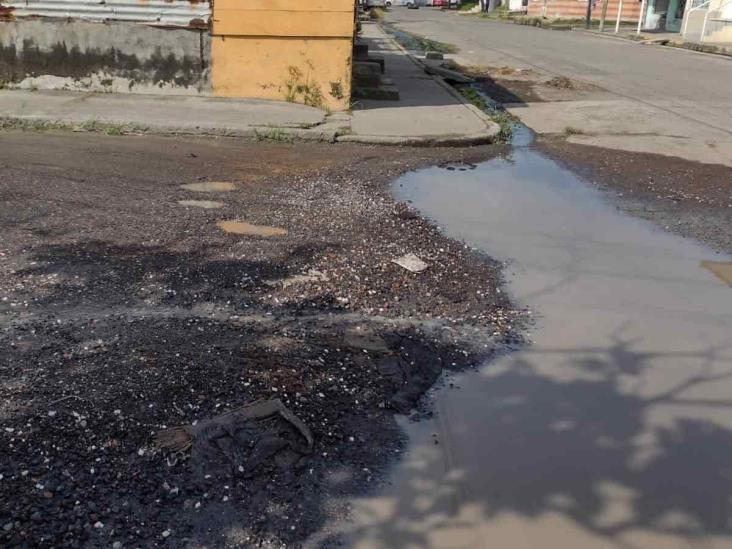 Vecinos se quejan de enorme bache y aguas negras en colonia Carranza