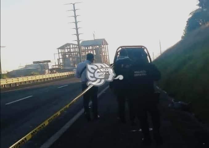 Muere hombre tras ser atropellado por un vehículo en la autopista Puebla-Córdoba
