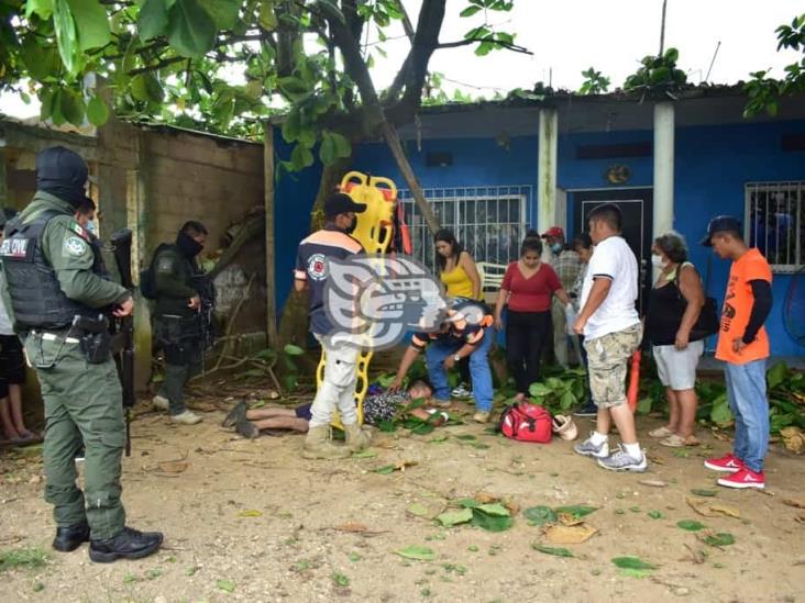 El Changoleón cae desde 6 metros al desramar árbol en Acayucan 