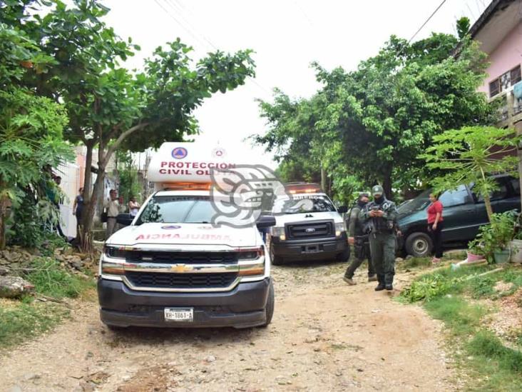 El Changoleón cae desde 6 metros al desramar árbol en Acayucan 