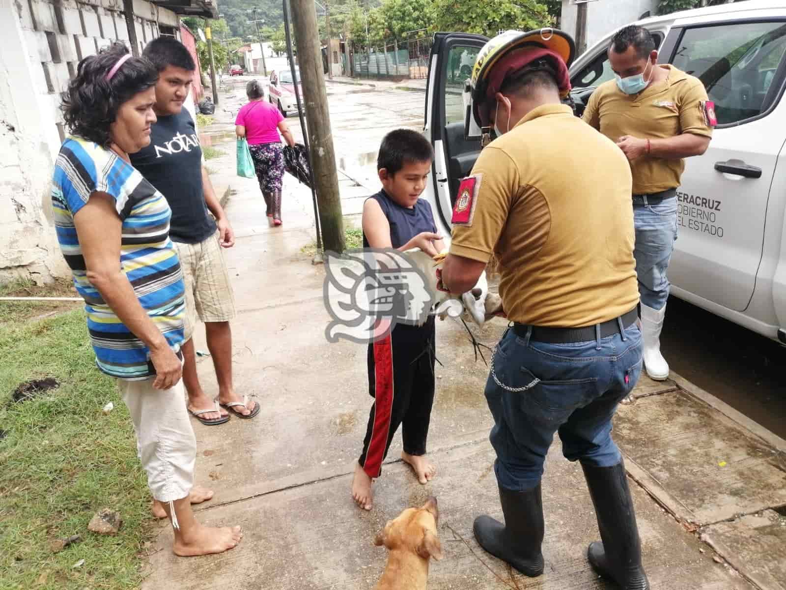 Menor rescata garza lesionada y la entrega a Protección Civil