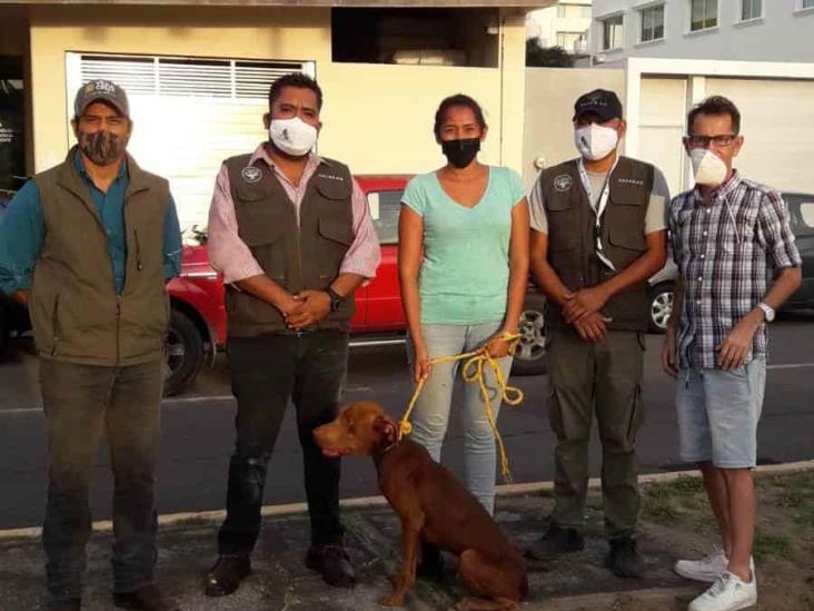 Asociación rescata a perrito maltratado en Río Medio 3