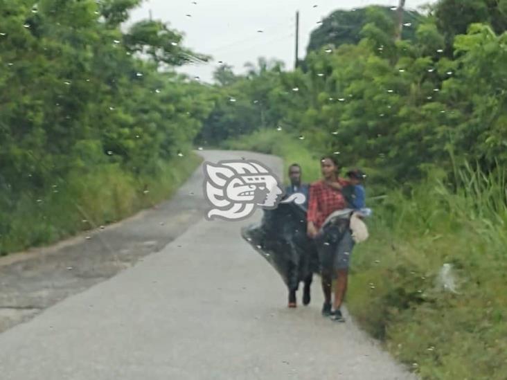 Peligros ni condiciones climáticas frenan a migrantes en el sur de Veracruz 