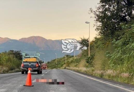 Hombre muere atropellado en autopista Orizaba-Puebla
