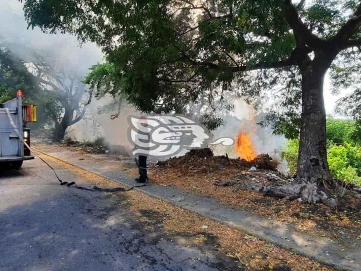 Incendio de lote baldío provoca movilización en el puerto