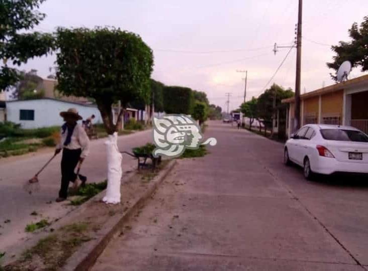 Habitantes de Zaragoza se organizan para embellecer el bulevar Corregidora