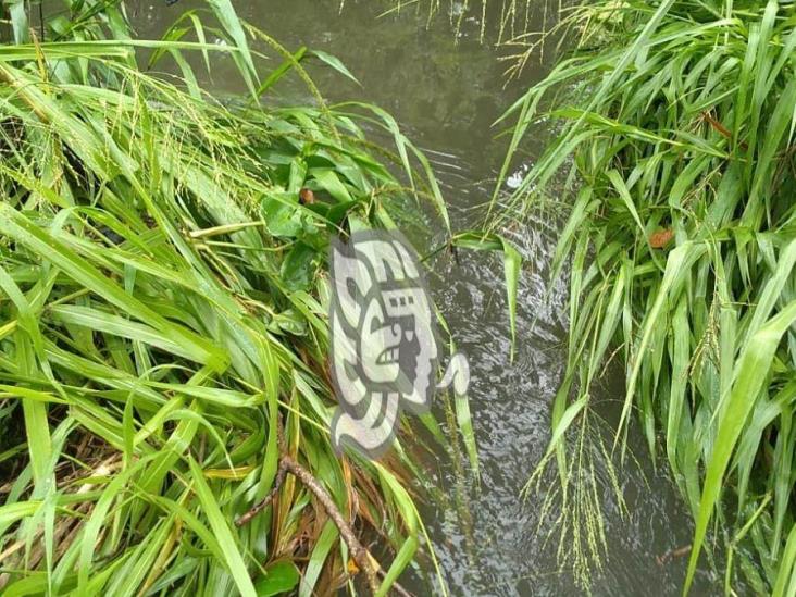 Canales a tope en colonias de Coatzacoalcos tras fuertes lluvias 