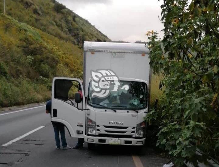 Asaltan y golpean a conductores de camiones de carga en autopista Córdoba-Puebla