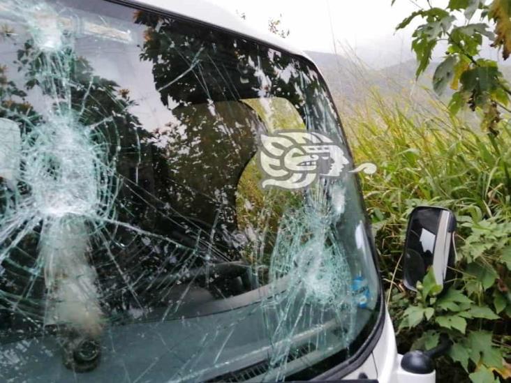 Asaltan y golpean a conductores de camiones de carga en autopista Córdoba-Puebla