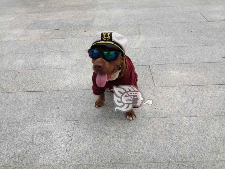 Juan y su perrito Oliver salen a las calles buscando una moneda