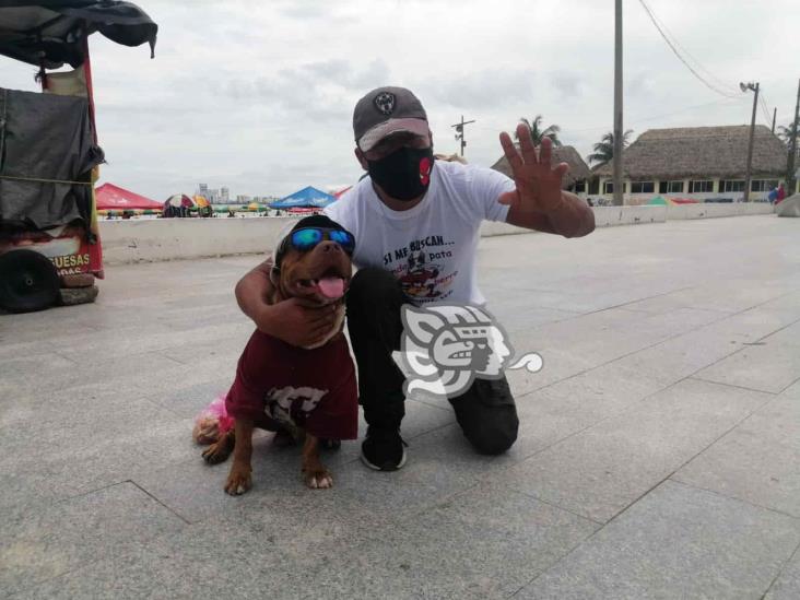 Juan y su perrito Oliver salen a las calles buscando una moneda