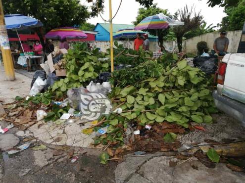 Ignoran autoridades retirar desechos de parque en Ixhuatlán del Sureste