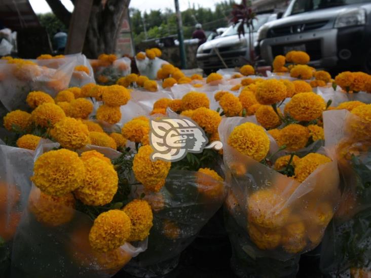 Elaboran en Central de Abastos altar en honor a animales abandonados