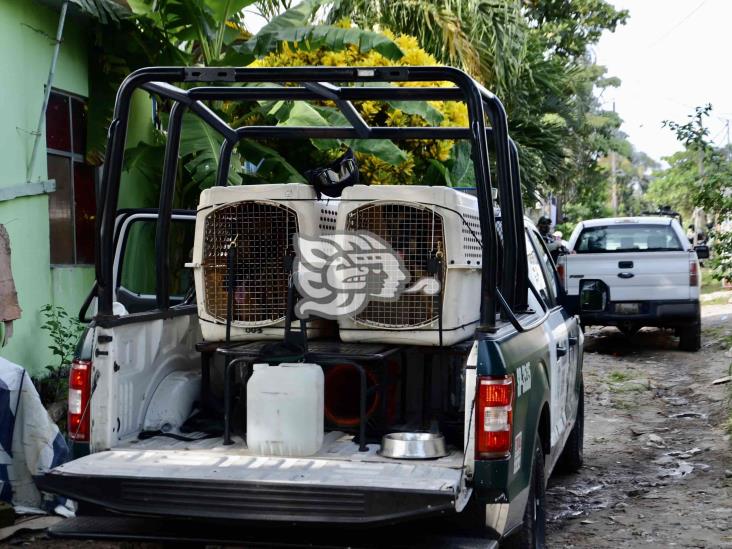 Registran intensa movilización en colonia Predio La Laguna