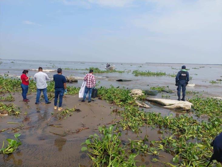 Encuentran cuerpo putrefacto en playa de Alvarado