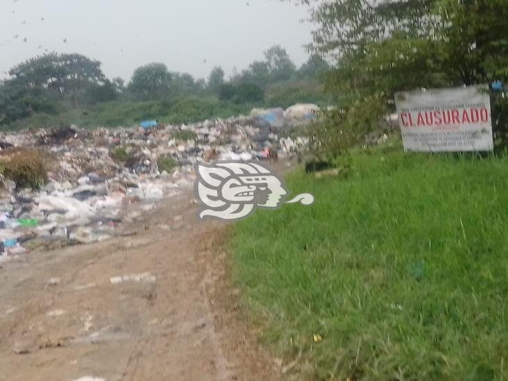PMA clausuró el basurero municipal de Jáltipan