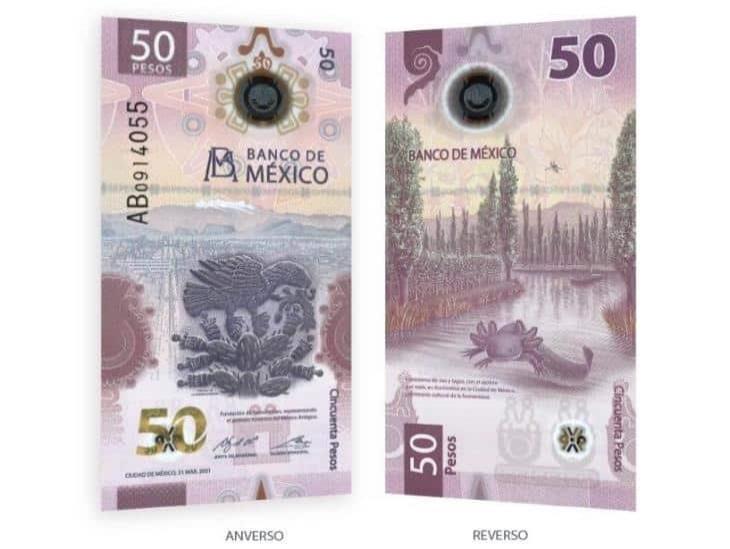 El ajolote reemplaza a Morelos en el billete de 50 pesos