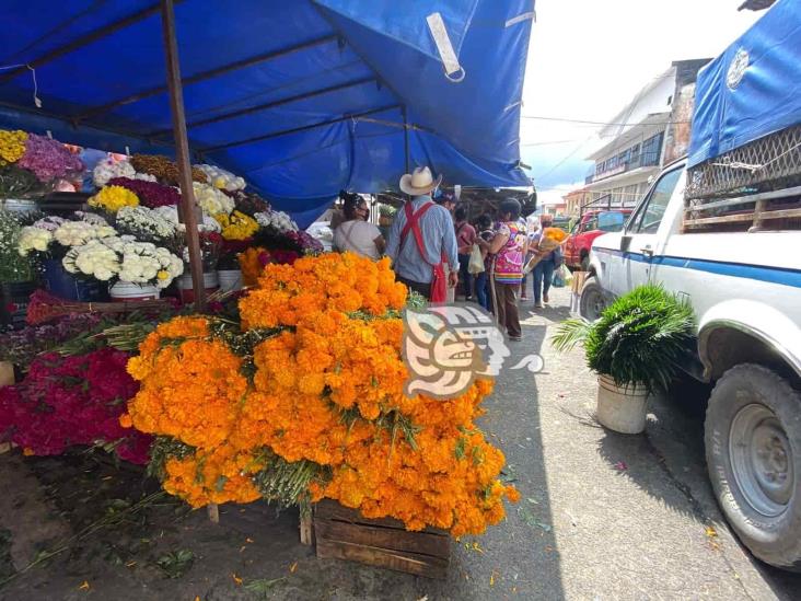 Mercados de Xalapa, con tradición viva de Día de Muertos