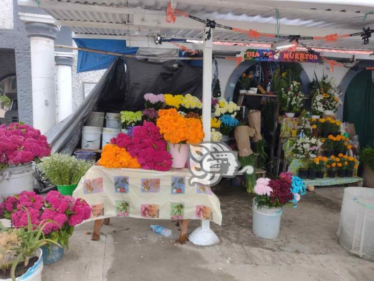 Venta de flores, esperanza de productores de Mendoza