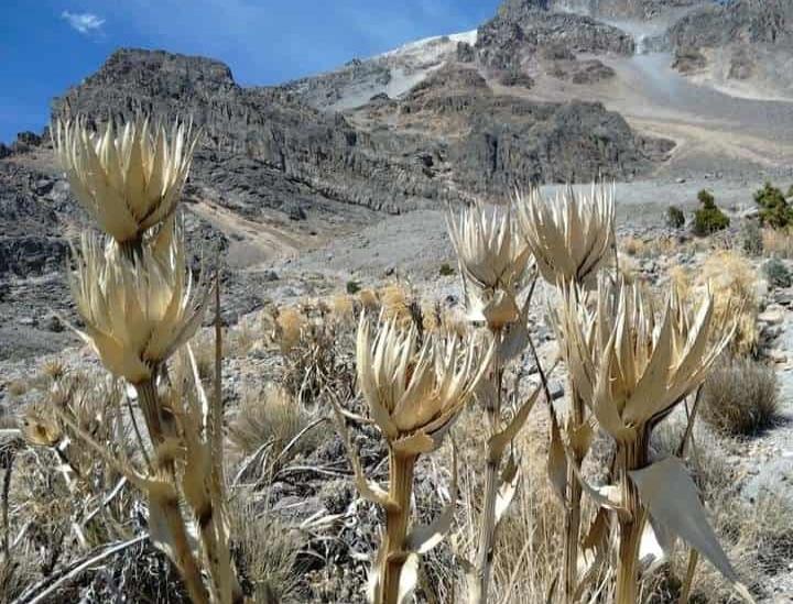 Villas Pico, aventura en la montaña de Orizaba