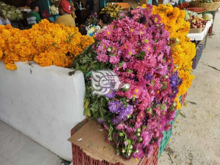 Comerciantes de flores y pan en Villa Cuichapa reportan bajas ventas 