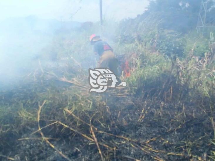 Incendio de pastizal en Amatlán generó fuerte movilización policiaca