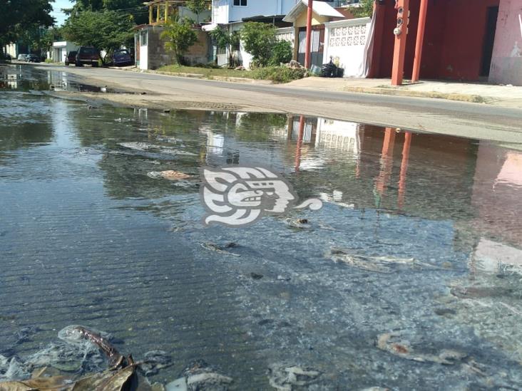 Obras de CFE causaron brote de aguas negras, reclaman familias