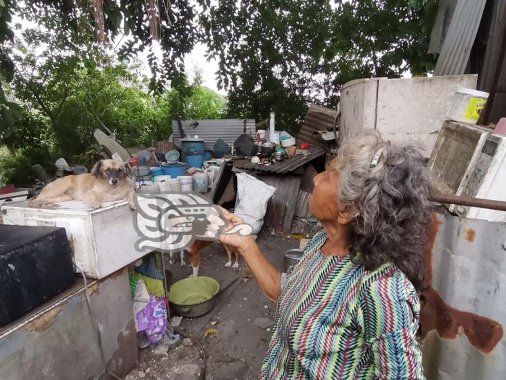 Vecina de Mundo Nuevo teme quedar sepultada entre láminas y ramas de árbol