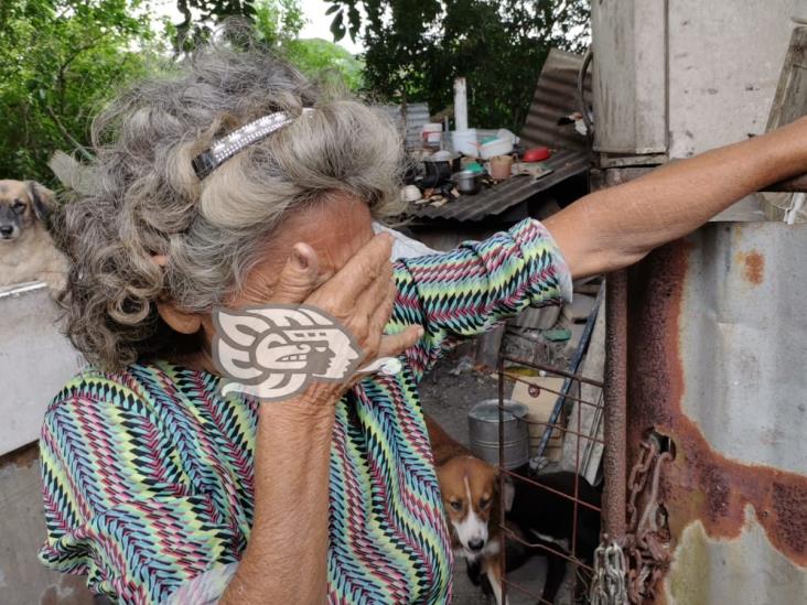 Vecina de Mundo Nuevo teme quedar sepultada entre láminas y ramas de árbol