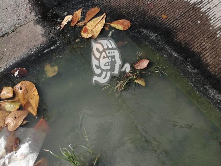 Fuga de aguas negras afecta a puestos de comida