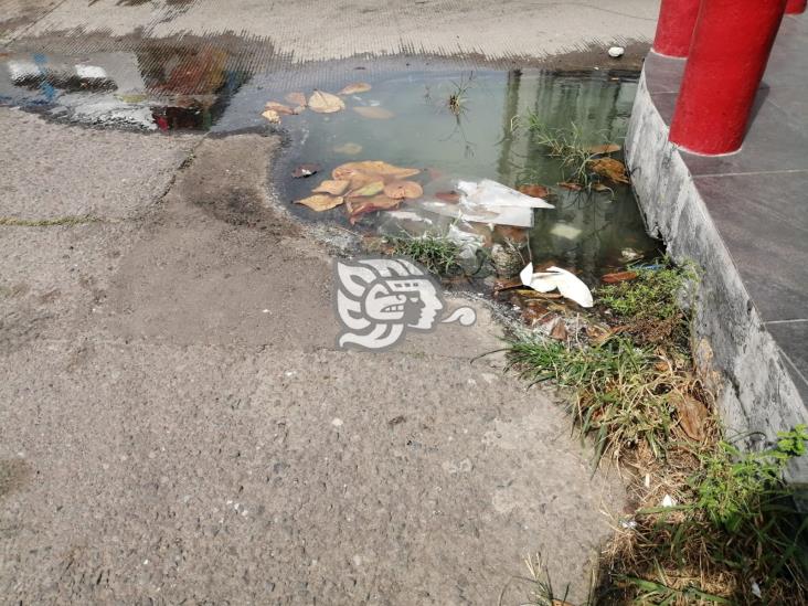 Fuga de aguas negras afecta a puestos de comida