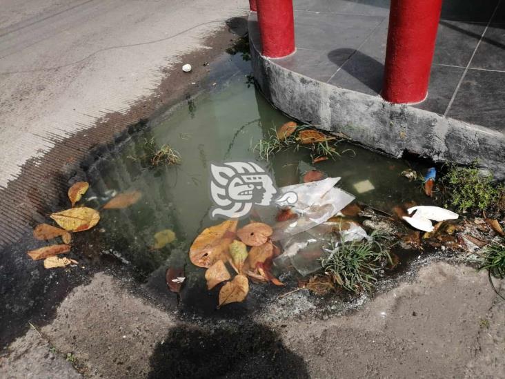 Fuga de aguas negras afecta a puestos de comida