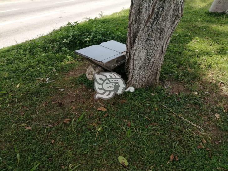 Bancas en avenida Díaz Mirón, destrozadas por el tiempo