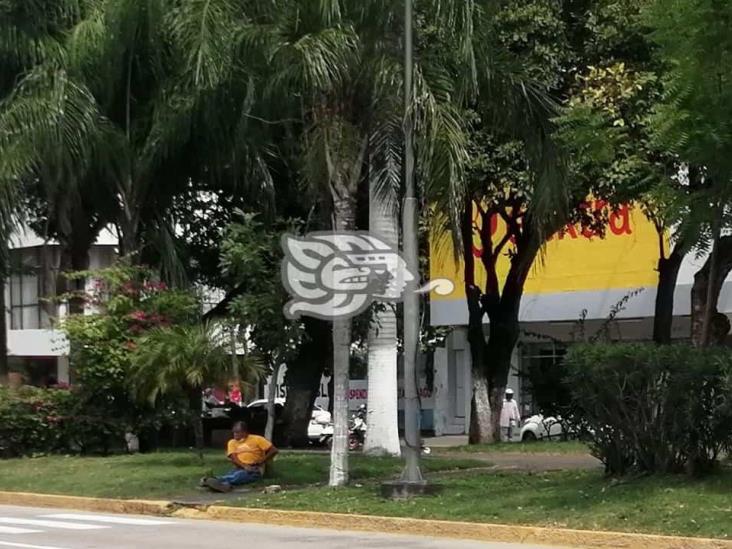 Bancas en avenida Díaz Mirón, destrozadas por el tiempo