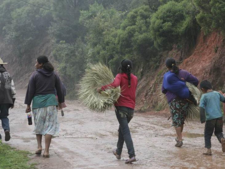 Retrato de las mujeres en La Montaña de Guerrero, sus vidas, avances y retos