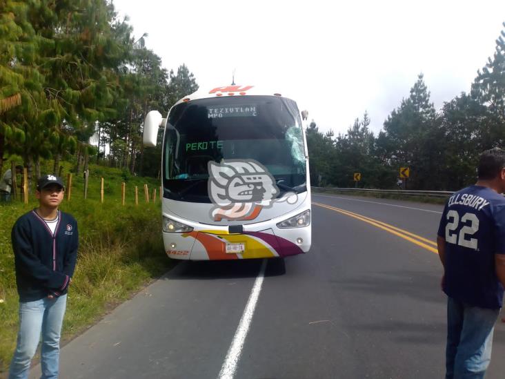 Sufren crisis nerviosa en autobús de AU embestido por tráiler en Acajete