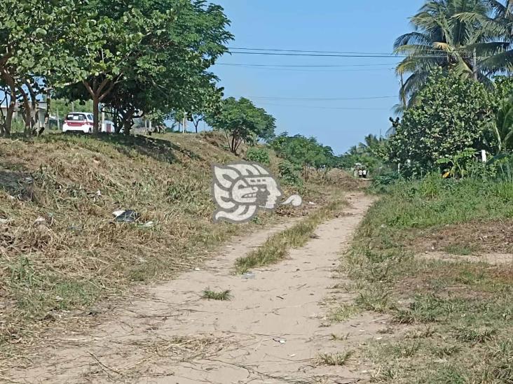 Empleados de ornatos son atacados por abejas en Coatzacoalcos