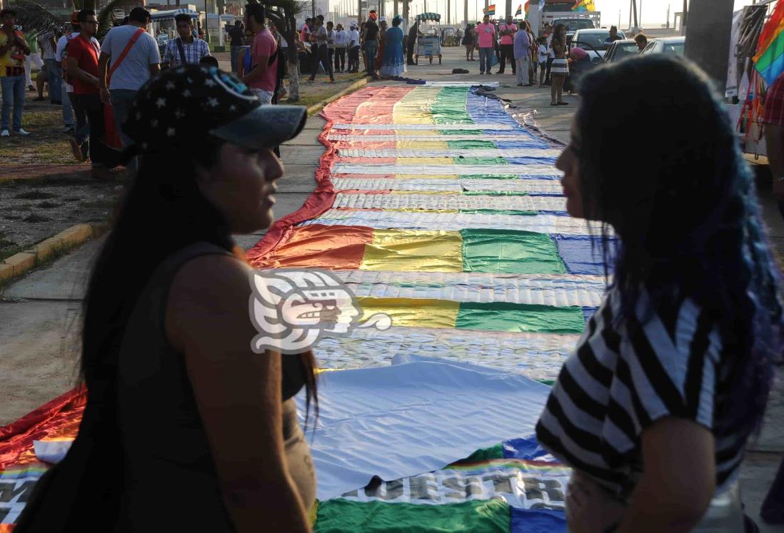 ONG respalda propuesta de matrimonio igualitario en Veracruz de Morena