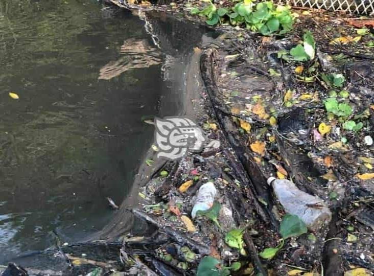 Proyecto Kayam libera al río Jamapa de 700 kilos de basura