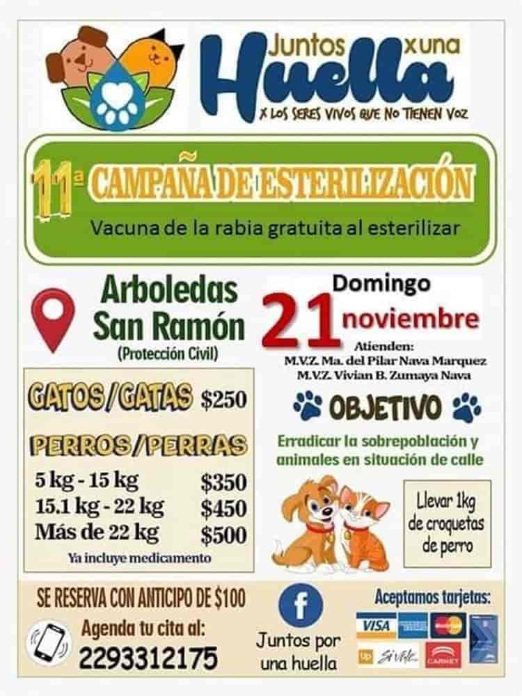 Donarán vacunas antirrábicas en campaña de esterilización en Medellín