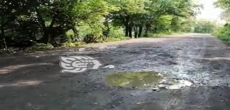 Misantla: tramo carretero de Buenos Aires a Plan de la Vega, en pésimas condiciones
