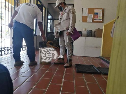 Buscan erradicar criaderos del mosco transmisor del dengue en Nanchital
