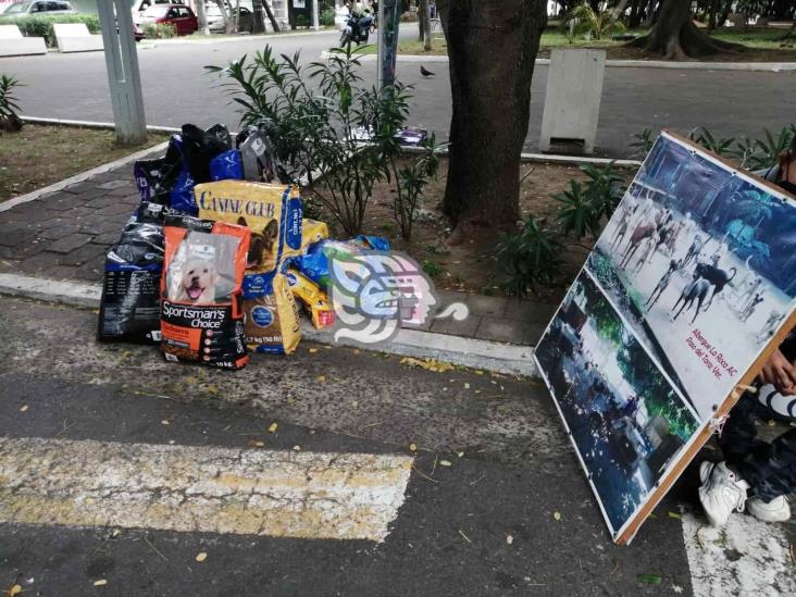 Croquetón alimentará a 350 mascotas que viven en albergue La Roca